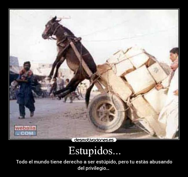 Estupidos... - Todo el mundo tiene derecho a ser estúpido, pero tu estàs abusando del privilegio…
