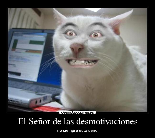 El Señor de las desmotivaciones - no siempre esta serio.