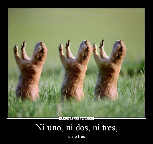 Ni uno, ni dos, ni tres, -