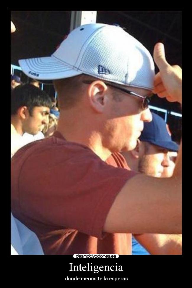 Inteligencia - donde menos te la esperas