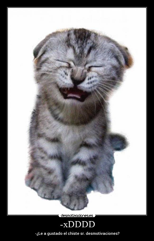 -xDDDD - -¿Le a gustado el chiste sr. desmotivaciones?