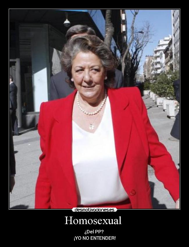 carteles homosexual gay maricon partido popular hanna montana valencia justin beaber espana 2000 barbera desmotivaciones