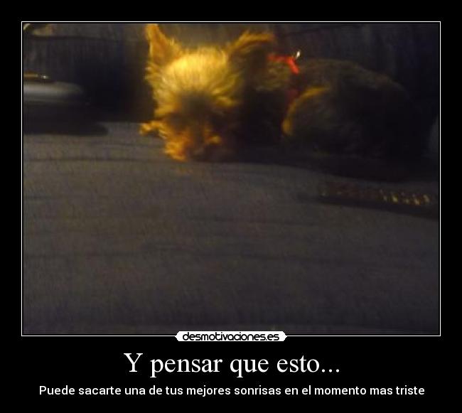 Y pensar que esto... - Puede sacarte una de tus mejores sonrisas en el momento mas triste