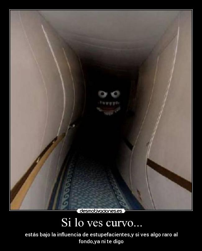 Si lo ves curvo... - 