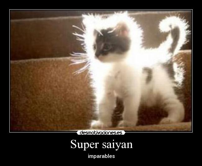 Super saiyan -