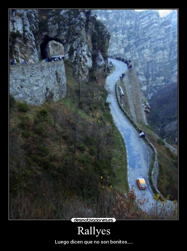 Rallyes - 