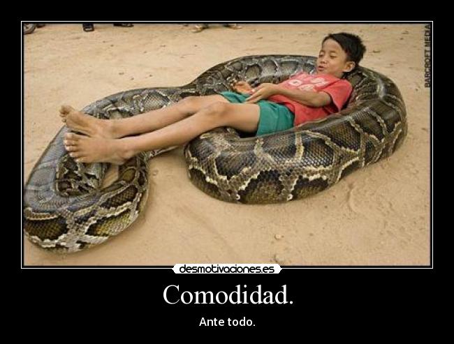 Comodidad. - Ante todo.
