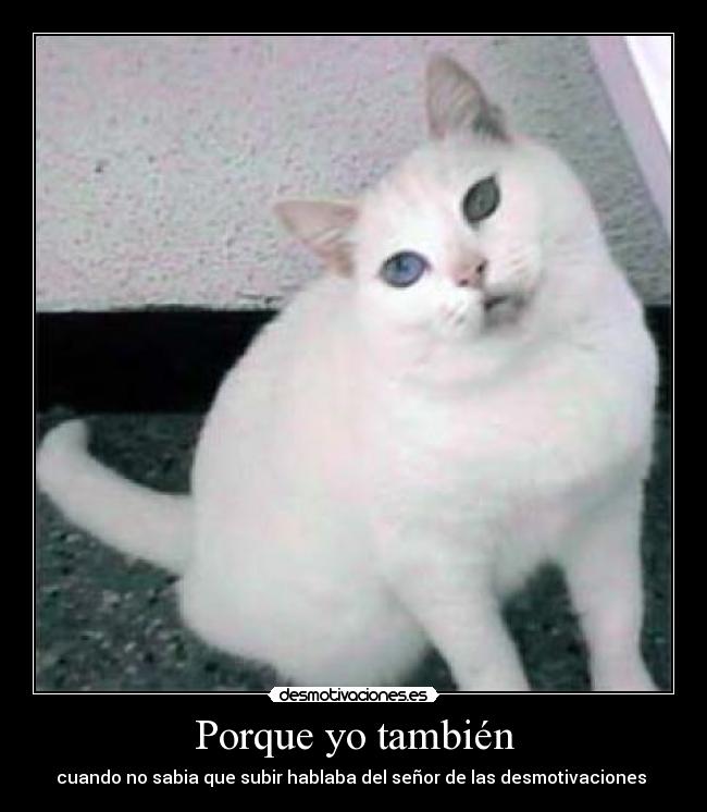 Porque yo también - cuando no sabia que subir hablaba del señor de las desmotivaciones