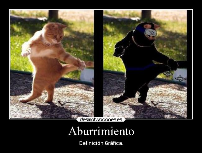 Aburrimiento - Definición Gráfica.