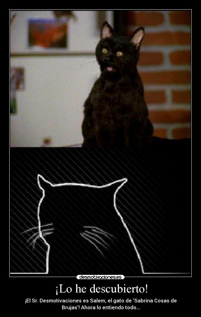 ¡Lo he descubierto! -