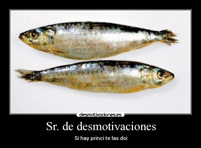 Sr. de desmotivaciones - Si hay princi te las doi