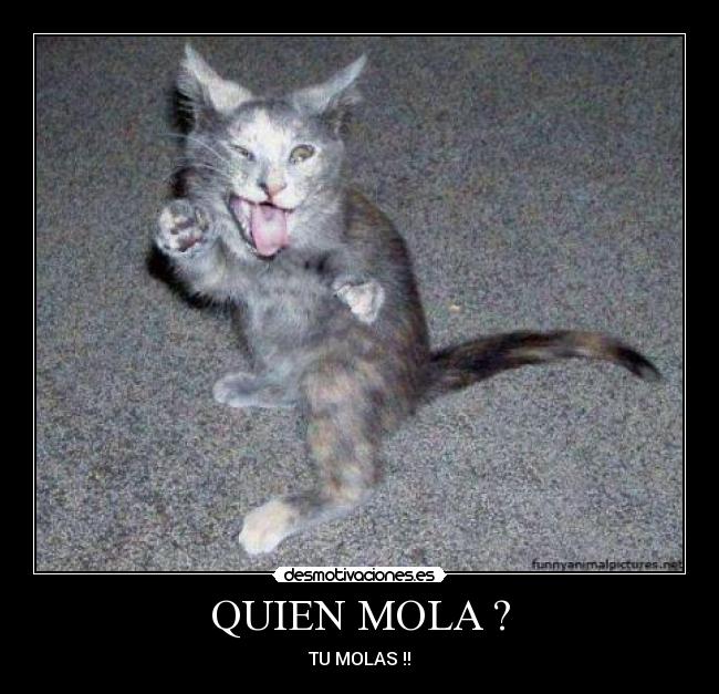 QUIEN MOLA ? - TU MOLAS !!