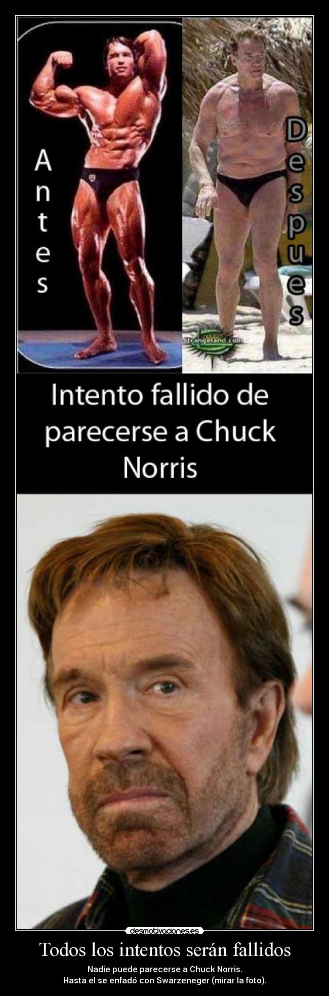 carteles swarzeneger chuck norris desmotivaciones
