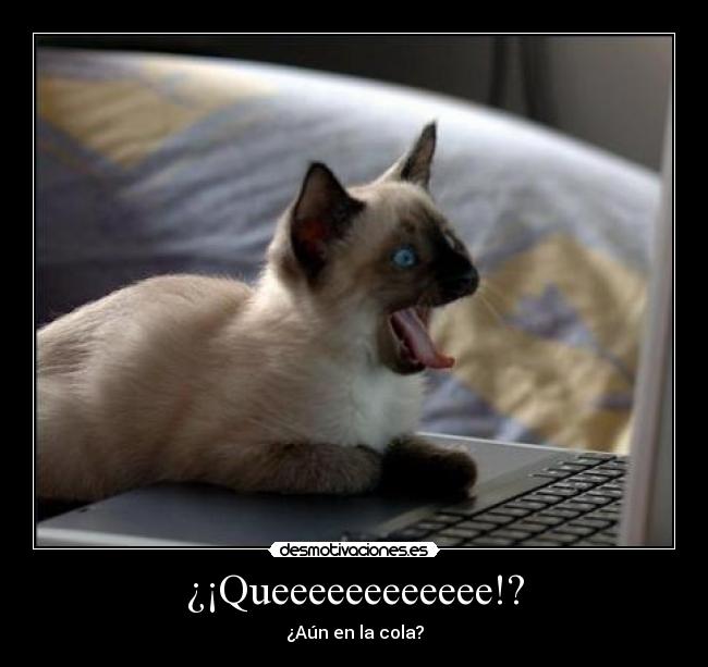 ¿¡Queeeeeeeeeeee!? - 