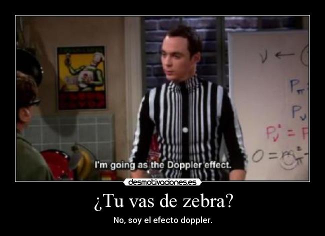 ¿Tu vas de zebra? - 