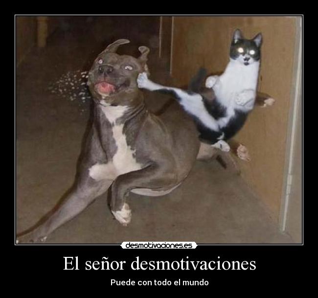 El señor desmotivaciones -