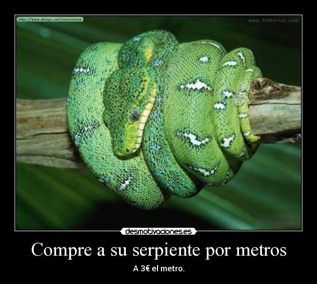 Compre a su serpiente por metros - A 3€ el metro.