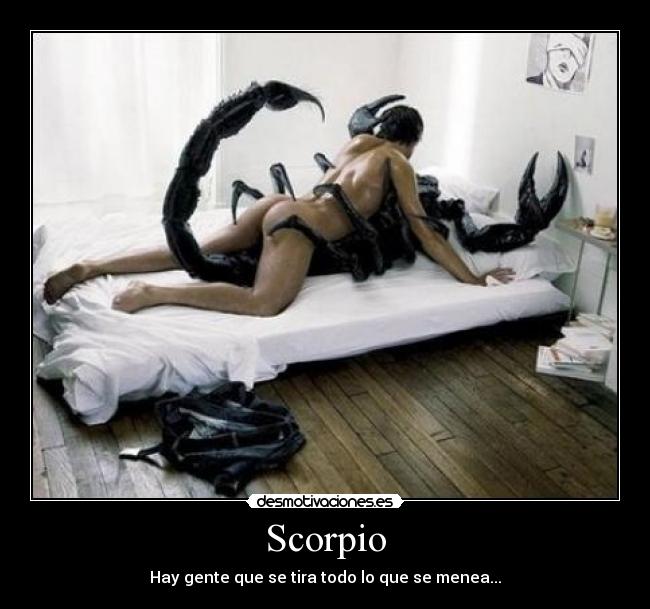 carteles sexo desmotivaciones