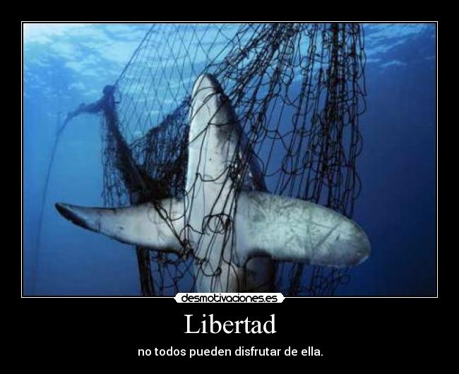 Libertad -
