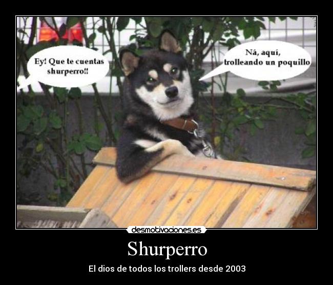 Shurperro - 