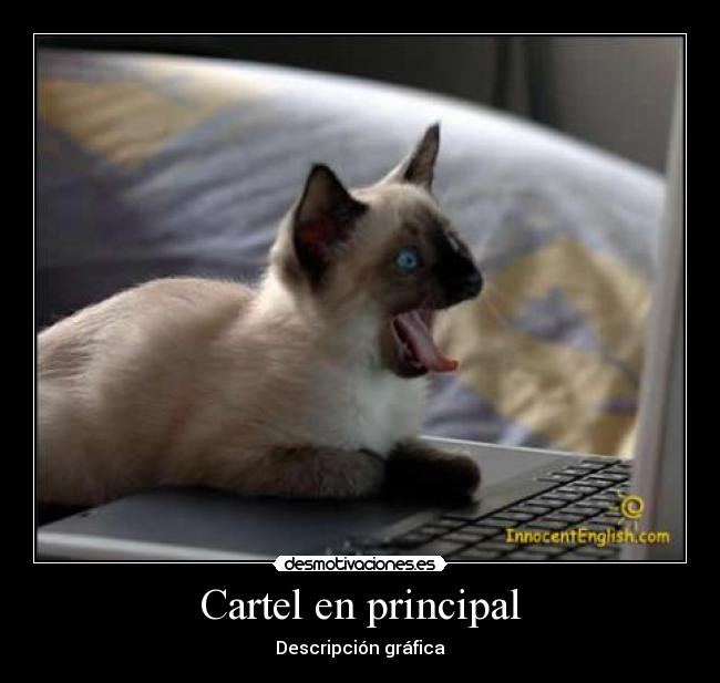 Cartel en principal - 