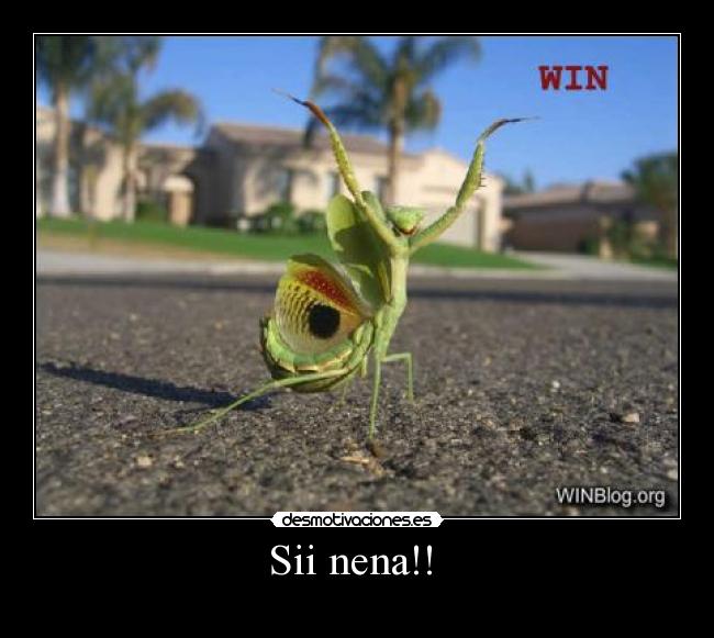 Sii nena!!  - 