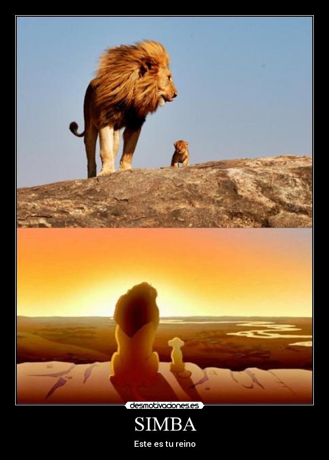 carteles simba desmotivaciones