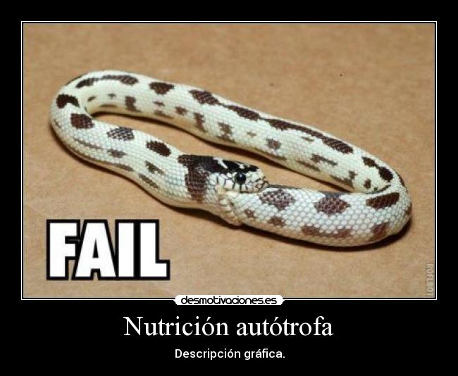 carteles lol nutricion autotrofa desmotivaciones