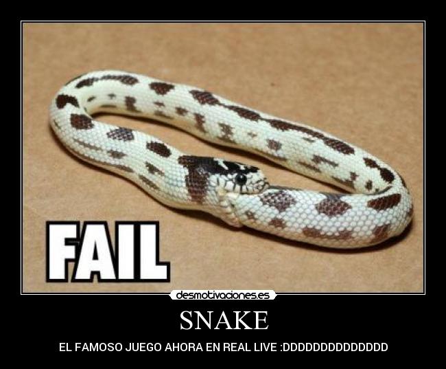 SNAKE -