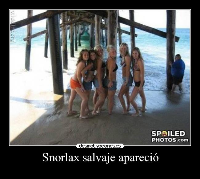 Snorlax salvaje apareció - 