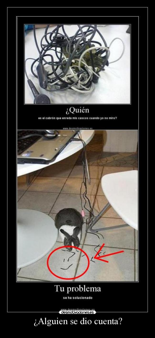 ¿Alguien se dio cuenta? -