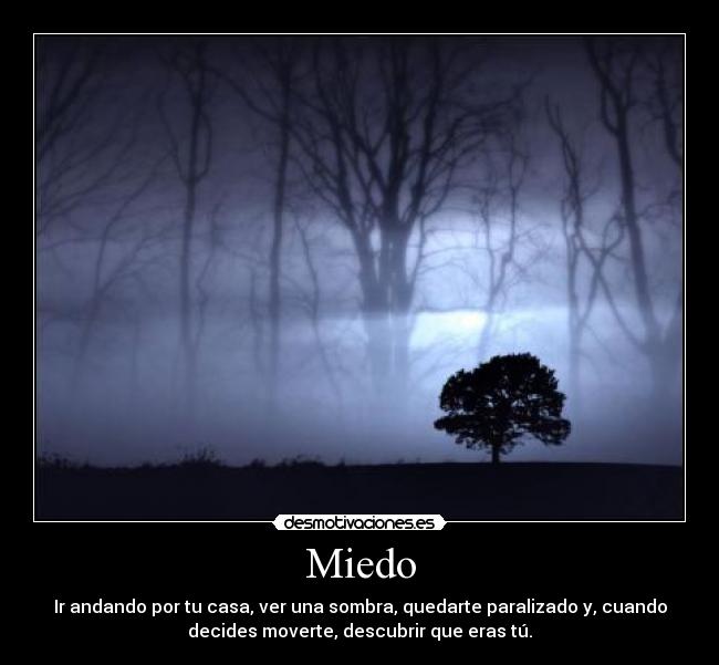 carteles miedo miedo desmotivaciones