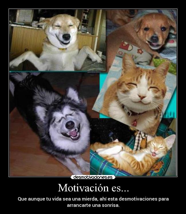 Motivación es... - 