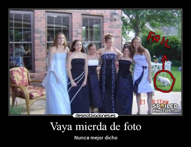 Vaya mierda de foto - Nunca mejor dicho