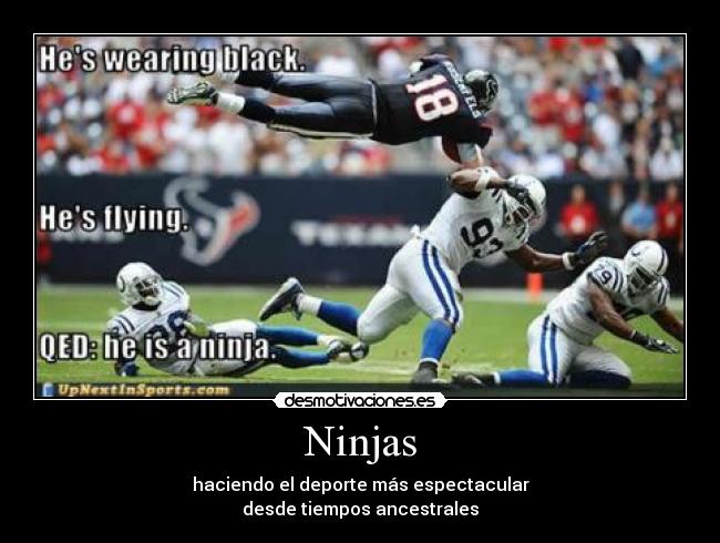 Ninjas - 