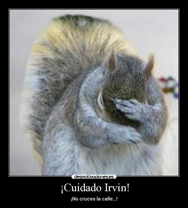 ¡Cuidado Irvin! - ¡No cruces la calle...!