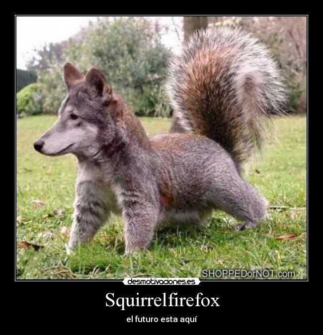 Squirrelfirefox -
