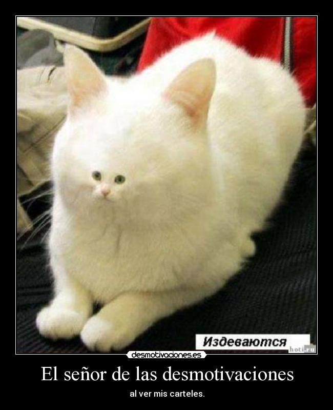 El señor de las desmotivaciones - al ver mis carteles.
