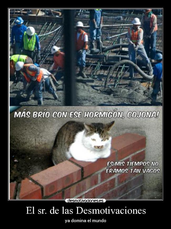 El sr. de las Desmotivaciones - 