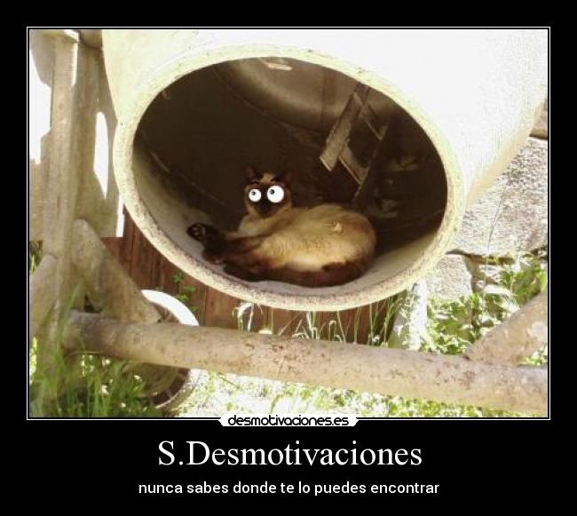 carteles sdesmotivaciones desmotivaciones