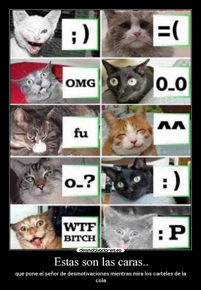 Estas son las caras.. - que pone el señor de desmotivaciones mientras mira los carteles de la cola
