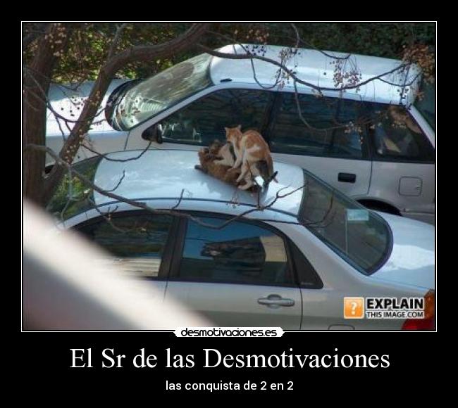 El Sr de las Desmotivaciones - 