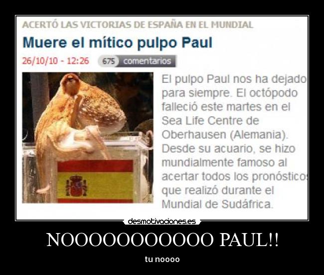 NOOOOOOOOOOO PAUL!! -