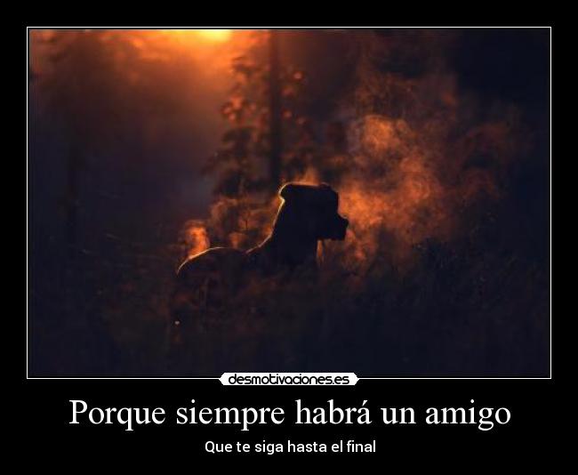 Porque siempre habrá un amigo - 