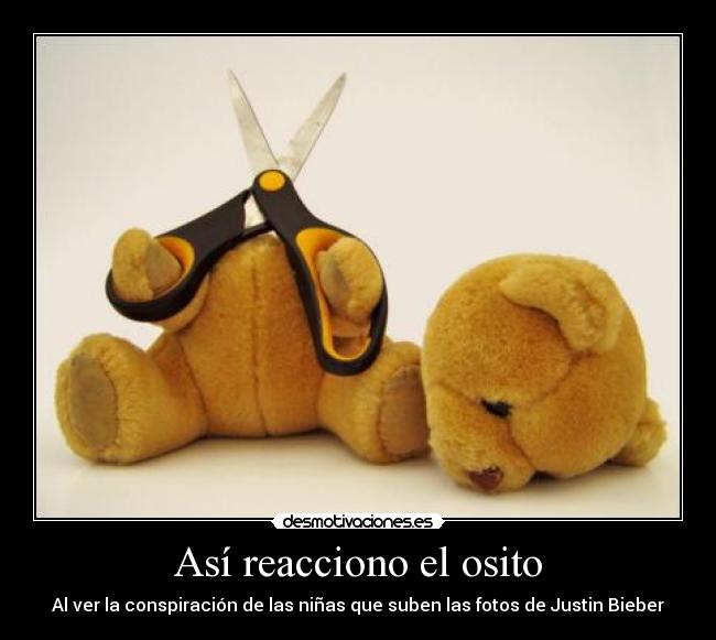 Así reacciono el osito - Al ver la conspiración de las niñas que suben las fotos de Justin Bieber