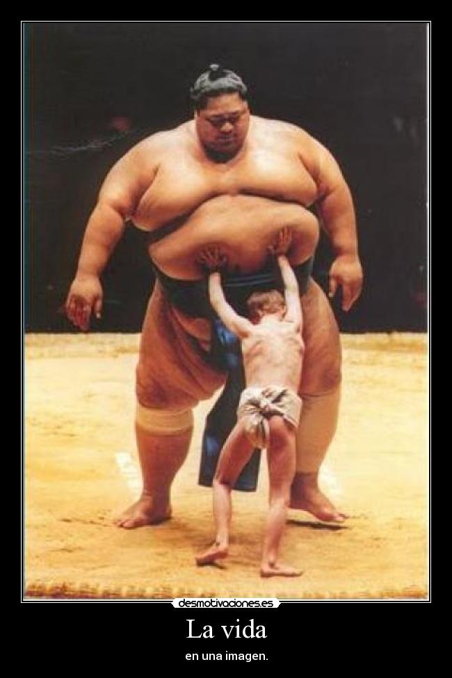 La vida - en una imagen.