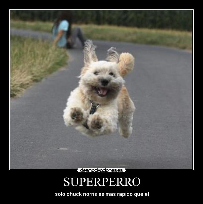 SUPERPERRO -