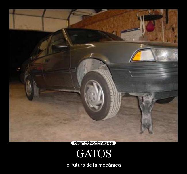 GATOS - el futuro de la mecánica