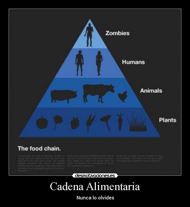 Cadena Alimentaria -