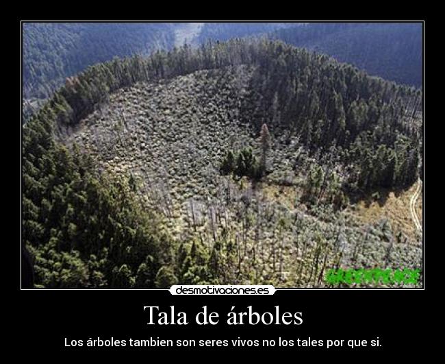 Tala de árboles - Los árboles tambien son seres vivos no los tales por que si.